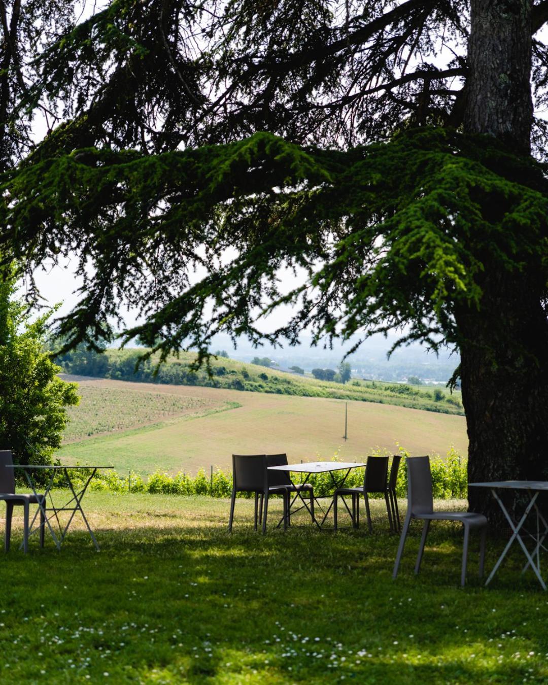 Chateau De Tauzies, The Originals Relais Gaillac Zewnętrze zdjęcie