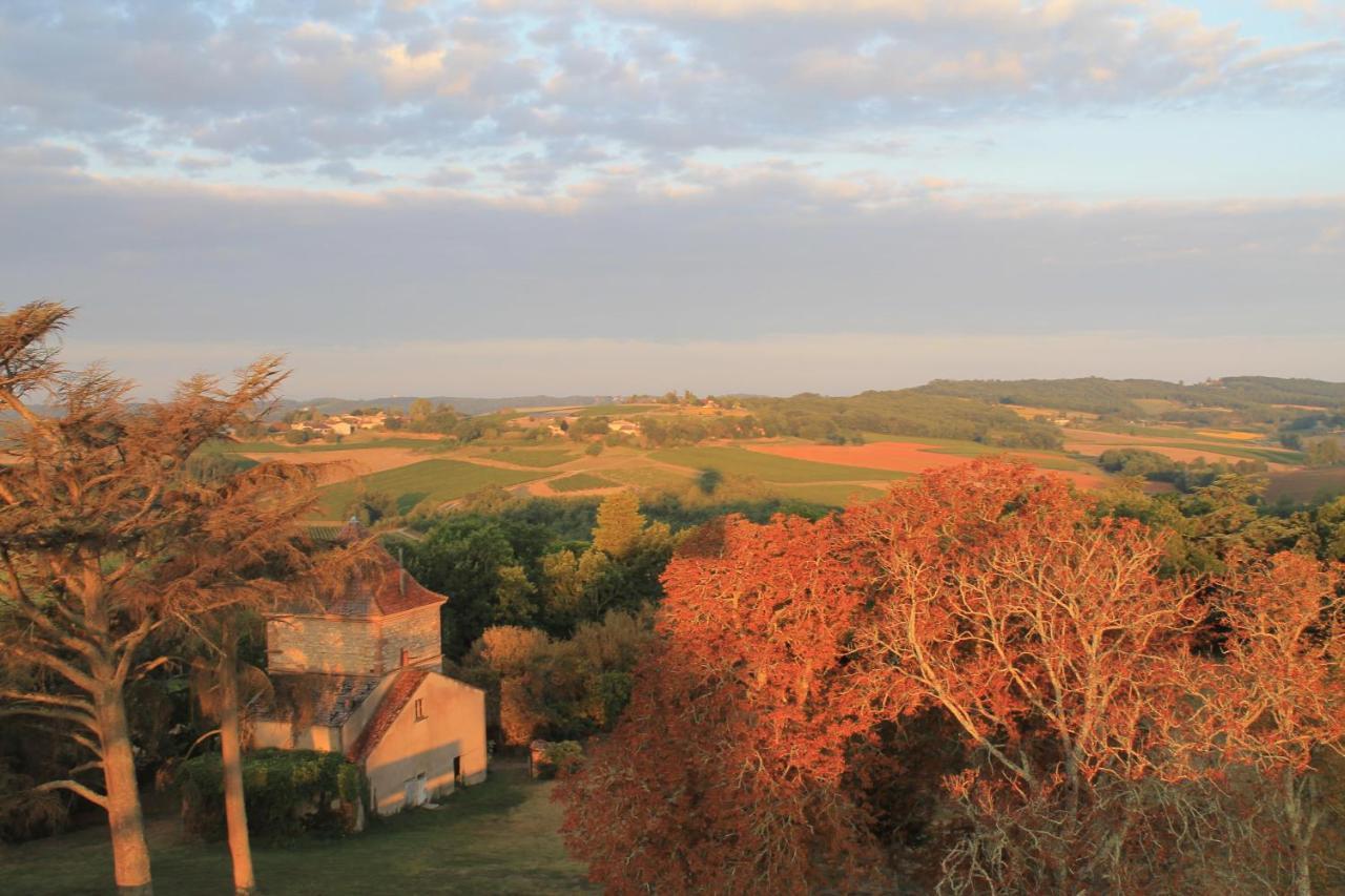 Chateau De Tauzies, The Originals Relais Gaillac Zewnętrze zdjęcie